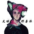 已经换号看简介头像