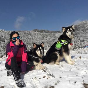 两只狼麻麻头像