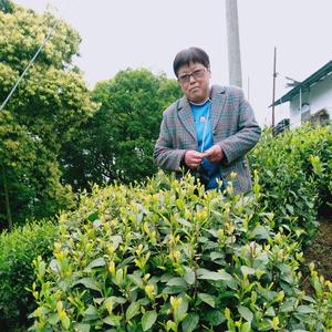 樱雪儿7P2A头像