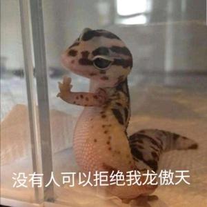 龙傲天爱吃头像