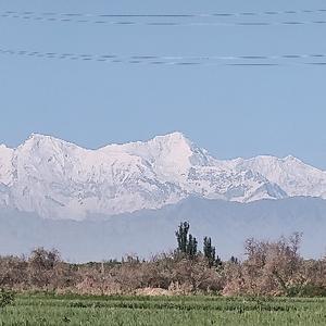 坦坦荡荡的旅途人头像