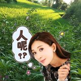 极客中卫1C8号线头像