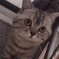 神昵称漫画头像