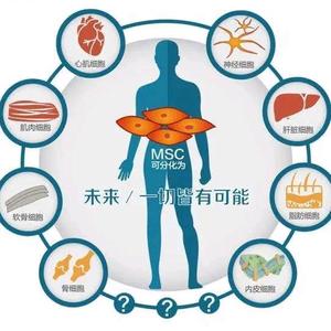 细胞健康小知识头像