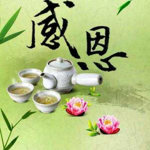 智慧的梦冉头像