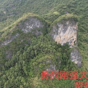 江山多娇广西马山韦师父头像