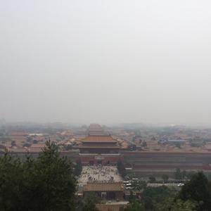 领导官场话术剪辑头像