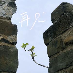 王婆在努力头像