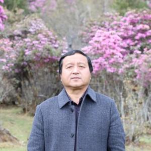 一起看云去头像