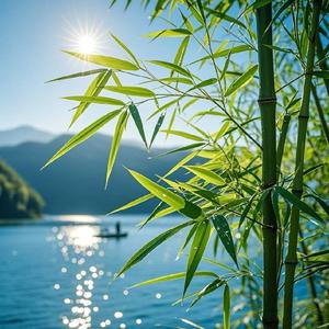 朱阁听雨头像