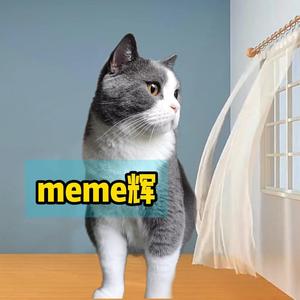 猫meme猫辉头像