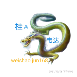 广西韦达头像