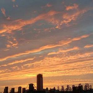 小星头像