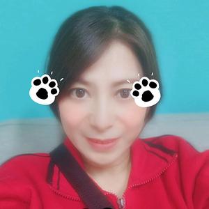 巧熊趣生活(互）头像