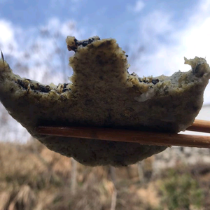 卢比奥Lubio头像