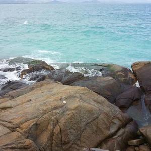 股海观潮头像