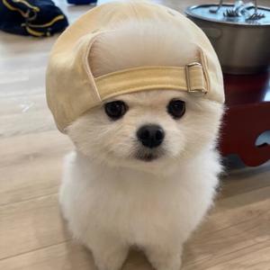 juul头像