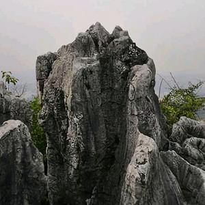 发哥带你看风景头像