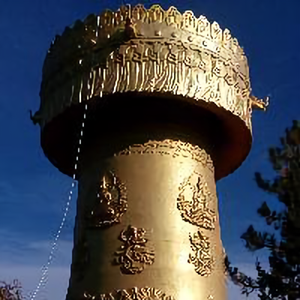 小小自媒头像