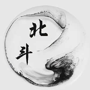 北斗之星头像