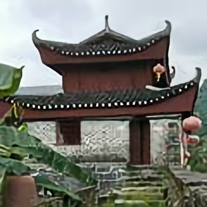 谷大哥头像