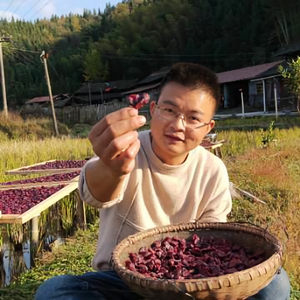 石乡记头像