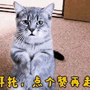 可盐可白头像