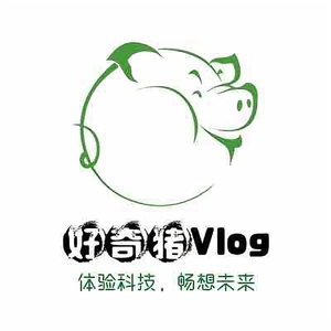 好奇猪Vlog头像