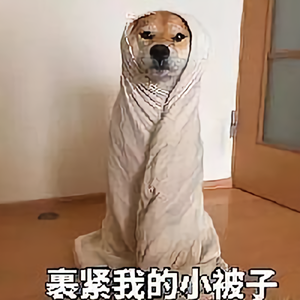 逗斗贝北豆头像