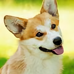 优选短视频头像