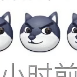 狗头狗头狗头狗头狗头狗头狗头狗头狗头狗头头像