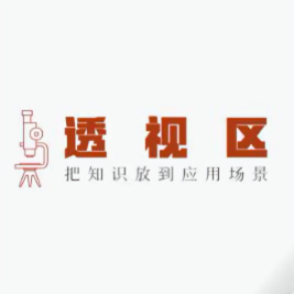透视区头像