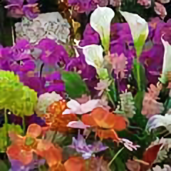 明哥133485883头像