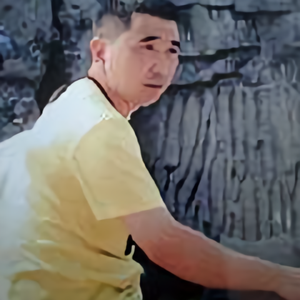 狼的生存能力1头像