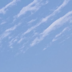 龍龍爱影视头像