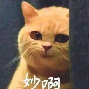信仰之名1997头像