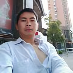 龙在上海3头像