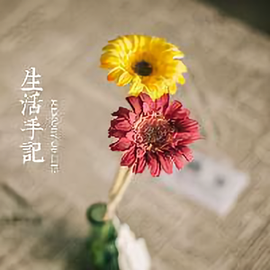 胖喵婶儿杂谈头像
