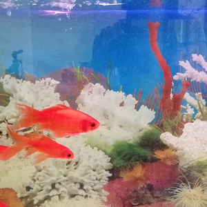 为您守卫健康头像