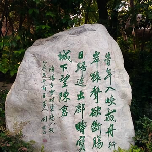 香雪海教育头像