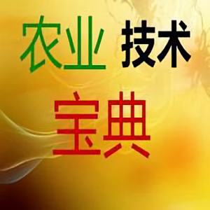 土地创业者头像