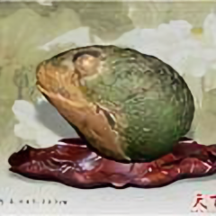 西西建成头像