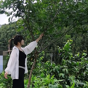 手机用户57752905713头像
