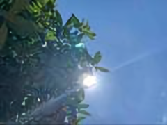 文明社会的一个看客头像