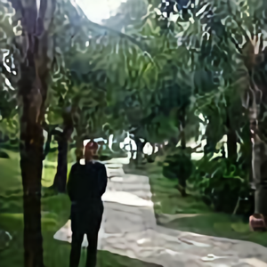 伟哥256212202头像