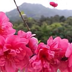 曾林炜头像