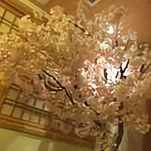 Waylen0712头像