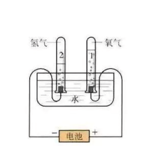 吃瓜呢头像