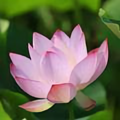 用户4909357155066头像