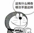 VisionLs头像